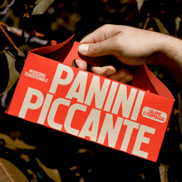 Custom Typeface Design For Fiero cover image