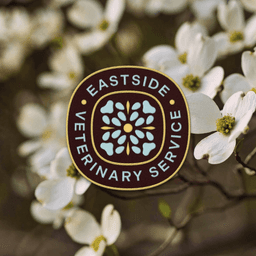 Brand Identity And Website For A Veterinary Clinic cover image