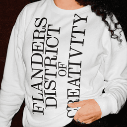 Brand Transformation For Flanders District Of Creativity cover image