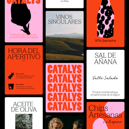 Naming And Visual Identity For Catalys Gourmet Bridge cover image