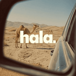Brand Identity For Uae E-hailing Service Hala cover image