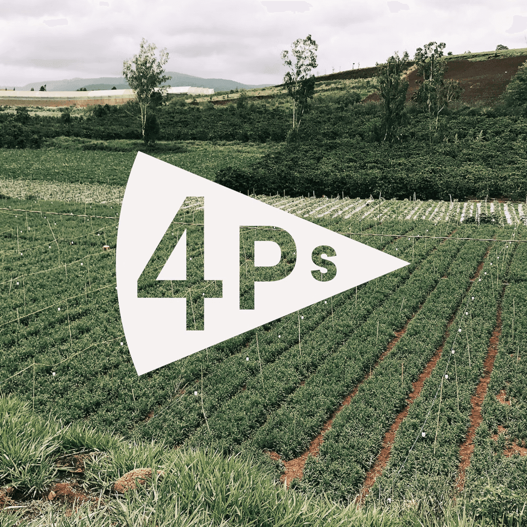 Brand Transformation For 4p’s Pizza