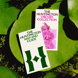Brand Identity And Naming For The Huntington cover image