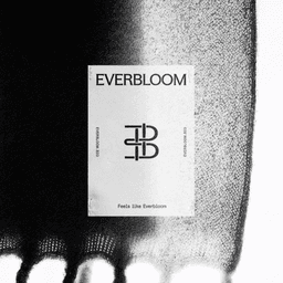 Brand Identity And Website For Everbloom cover image