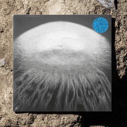 Album Packaging For Vasas Flora Och Fauna cover image