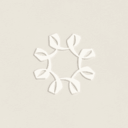 Visual Identity For Ses Menswear cover image