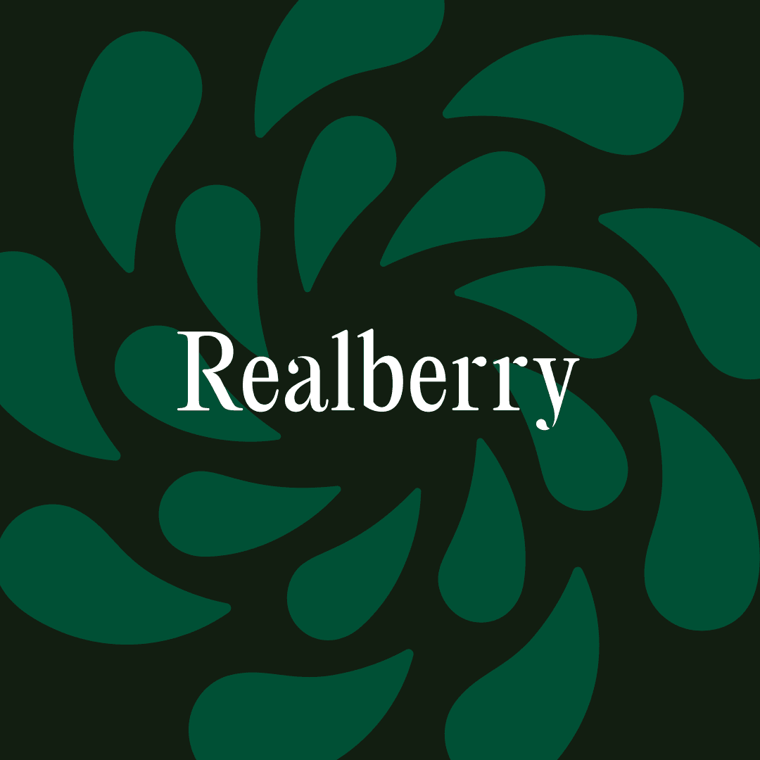 Brand Identity For Realberry Real Estate Platform