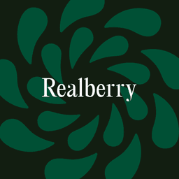 Brand Identity For Realberry Real Estate Platform cover image