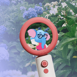 Character Design And Animation For A Children's Language-learning Camera cover image