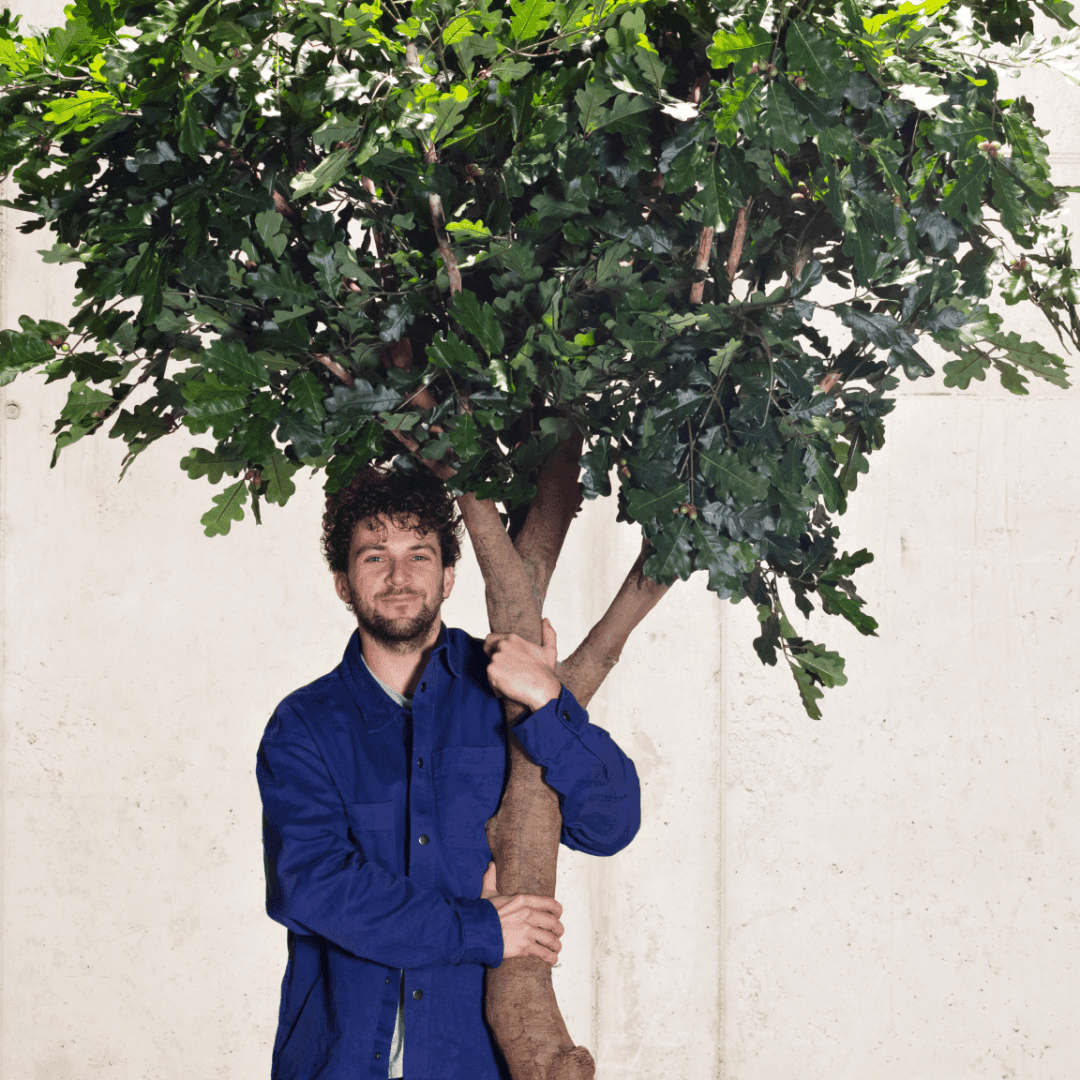 Campaign For Trees For All