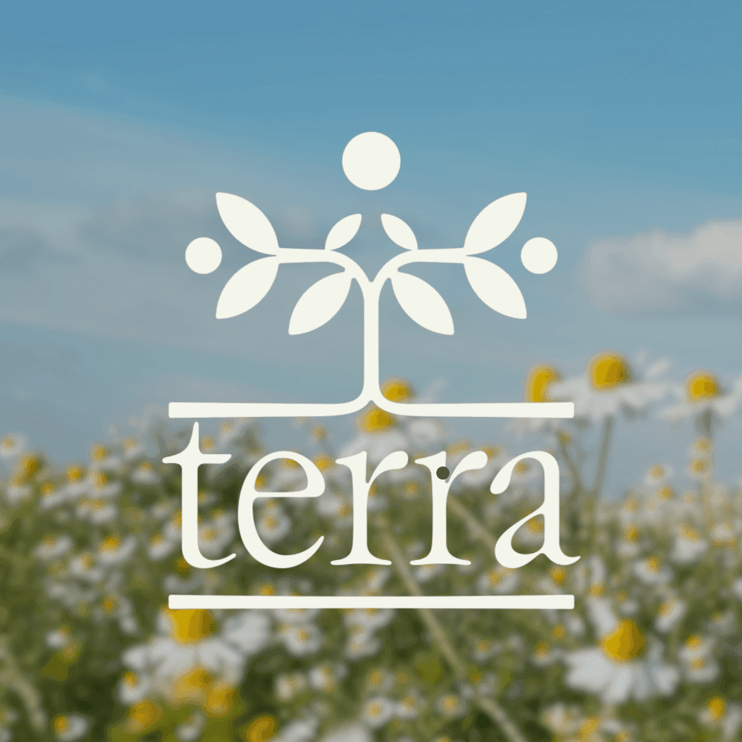 Brand Identity For Terra Solutions