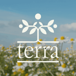 Brand Identity For Terra Solutions cover image
