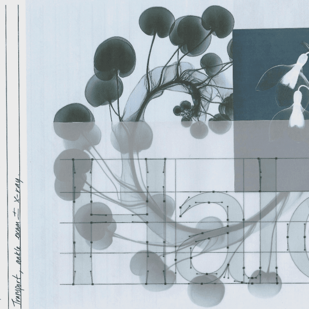 Brand Identity And Website For An Ai-native Healthcare Platform