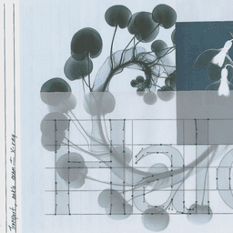 Brand Identity And Website For An Ai-native Healthcare Platform cover image