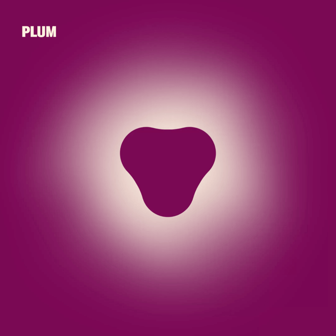 Naming And Visual Identity For A Healthcare Technology Platform