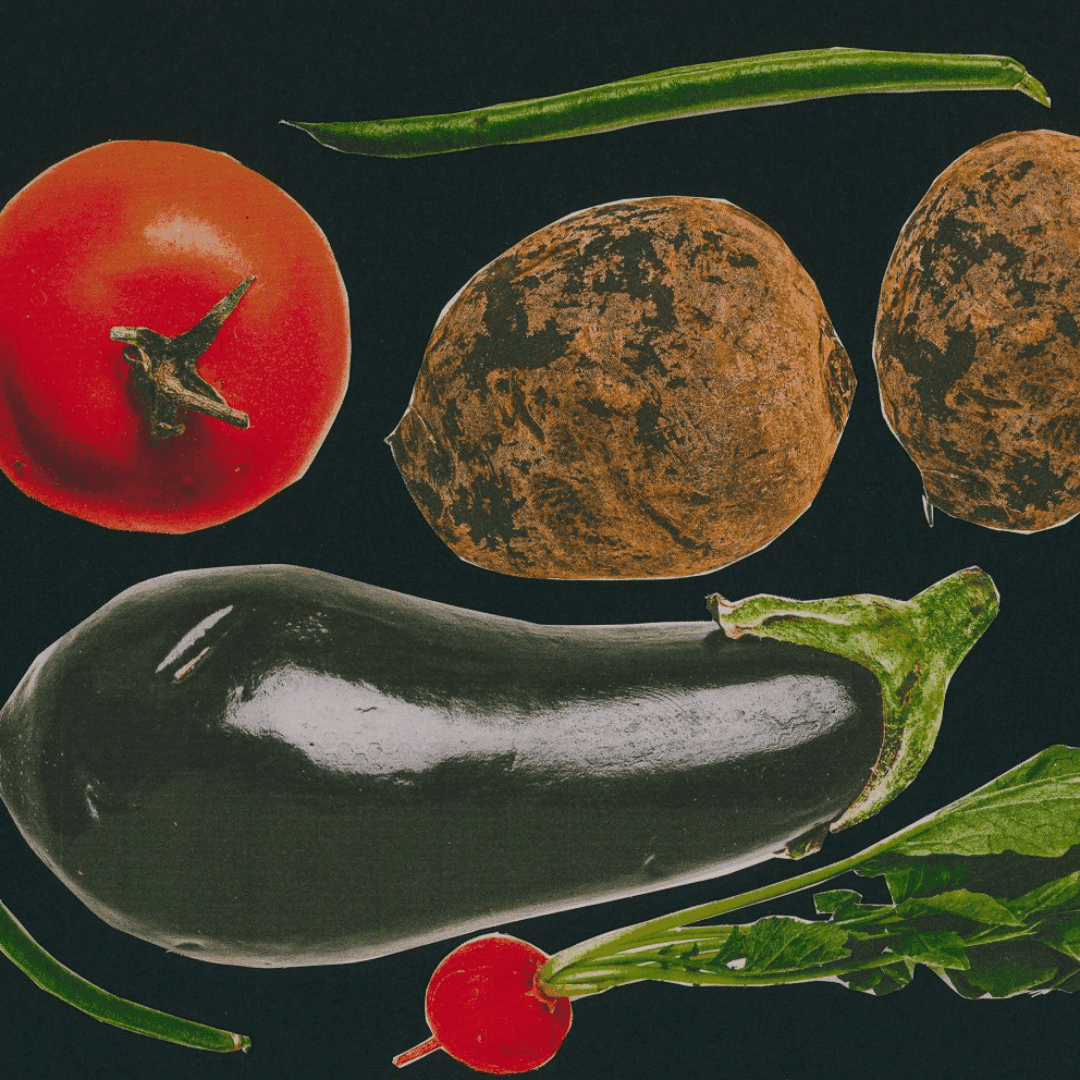 Motion Film For Ffern's Rewilding Spring Season