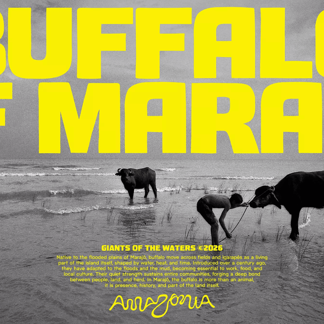 Destination Brand Identity For The Brazilian Amazon