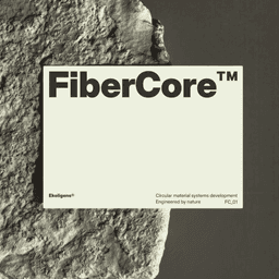 Brand Repositioning For Ekoligens cover image