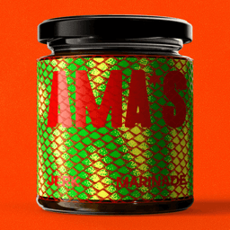Brand Identity And Packaging For Ama's Caribbean Food Brand cover image