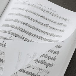 Editorial Design For Giuseppe Penone Exhibition Catalogue cover image