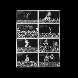 Campaign Identity For Nyu Skirball Fall 2024 Season cover image