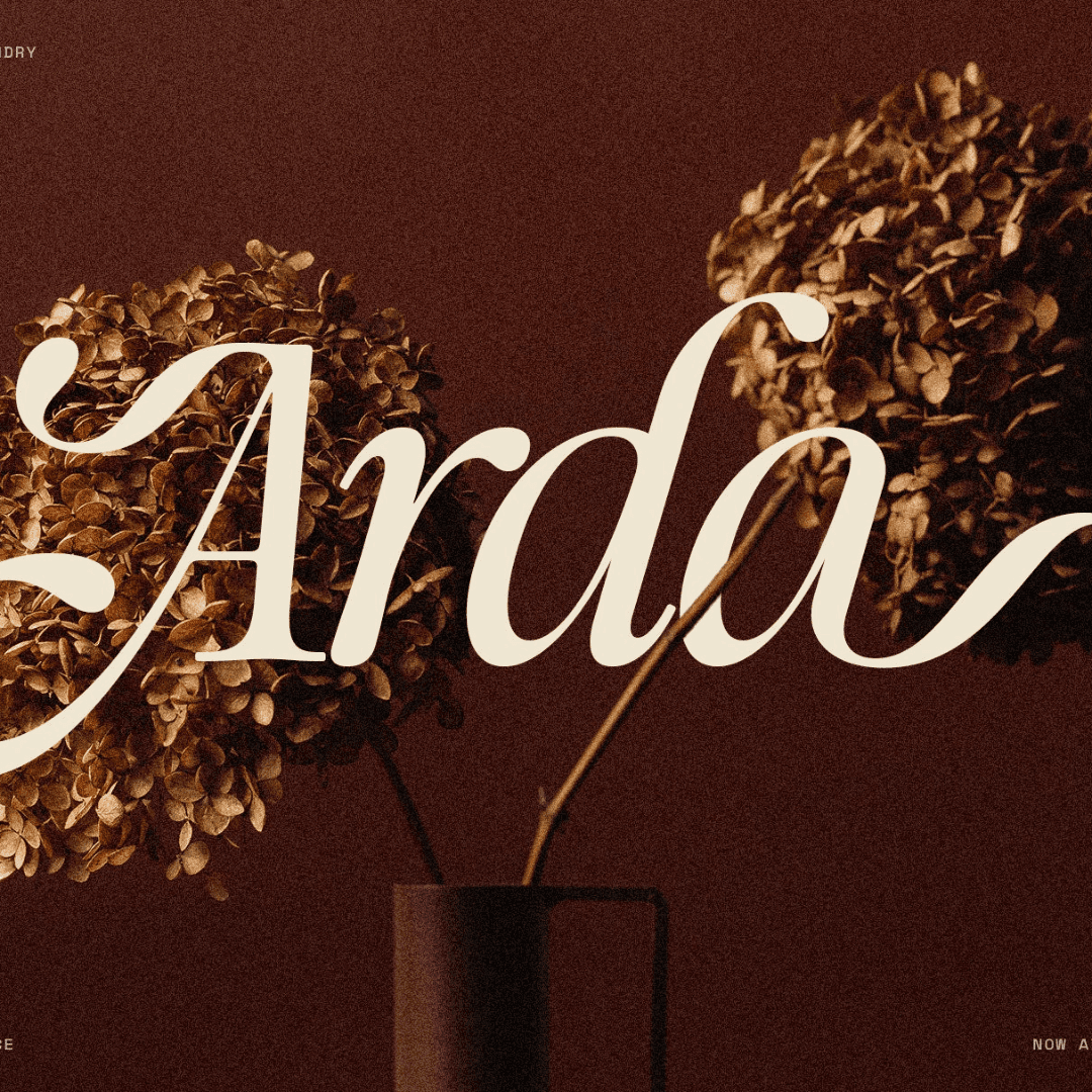 The Loneta Editorial Serif Font