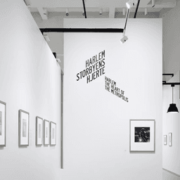 Exhibition And Visual Identity For Framed — American Urban Photography 1907–2012 cover image