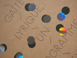 Programme Sensible cover image