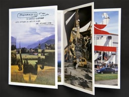 Pronomade(s) 2010 cover image