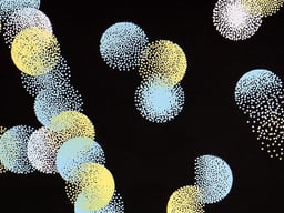 Siana 2011 cover image