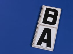 Bachibouzouk cover image