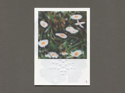 Datil, des sources cover image