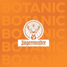 Brand Evolution for Jägermeister cover image