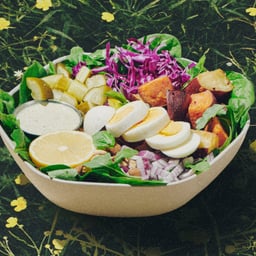 Brand System Redesign for Sweetgreen IPO Preparation cover image