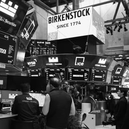 Visual Communication for Birkenstock IPO cover image
