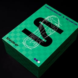 Logo and Graphic Identity for Streetwear Shop Sneakerhead cover image