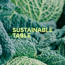 Brand Identity and Website for Sustainable Table cover image