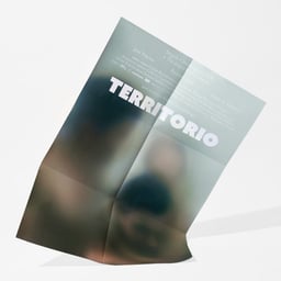 Poster Design for Territorio Film cover image