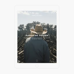 Branding and Digital Identity for Tequila Delaluz cover image