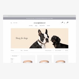 Brand Identity and E-Commerce Website for Owned & Adored cover image