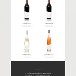 Brand Identity and Website Design for Bodega Los Cedros cover image