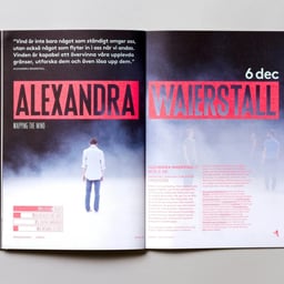 Brand Identity for Dans International Dance Festival cover image