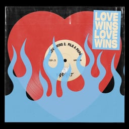 Art Direction and Design for Belgian Punk Band Barno Koevoet cover image