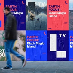 Brand and Motion Identity for Link TV cover image