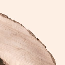 Visual and Audio Identity for Europe's Largest Private Forest Owner cover image