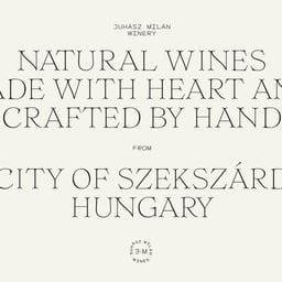 Brand Identity and Packaging for Juhasz Milan Wines cover image