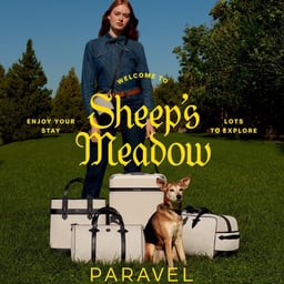 Campaign Development for Paravel Luggage cover image