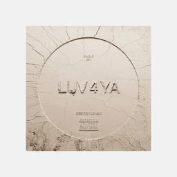 Art Direction and Visual World for Destroy Lonely’s Love Lasts Forever cover image
