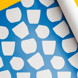 Brand Identity and Campaign for Collection Pot cover image