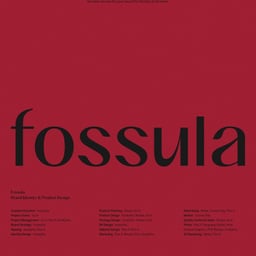 Brand Identity for Fossula cover image